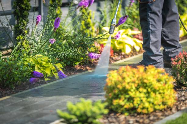 Reliable Ashtabula, OH  Pressure Washing Services Solutions
