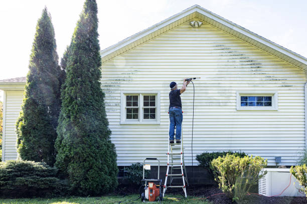 Best Driveway Pressure Washing  in Ashtabula, OH